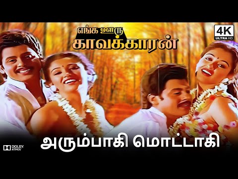 Arumbagi - 4k Video Song |அரும்பாகி மொட்டாகி| #Ramarajan| #Gautami | #Ilaiyaraaja #song #4kvideo #hd