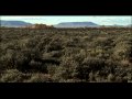 Climax and Sub-Climax Ecosystems