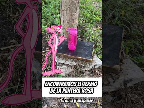 Encontramos el termo de la pantera rosa😱😱