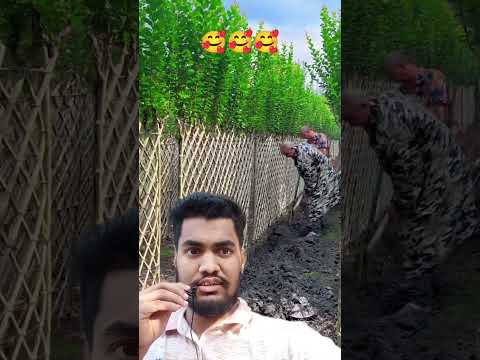৫০ বছরেও নষ্ট হবে না এই বেড়া গুলো 😱😱😱😱