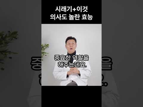 시래기와 상극인 음식 시래기와 이것 함께 먹으면 혈관이 깨끗해지고 암세포가 사라집니다 시래기의 놀라운 효능 장건강 치매예방 골다공증예방 식이섬유 건강정보 건강음식 제철음식