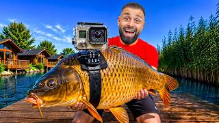 Am pus un GoPRO pe un Peste... *s-a intamplat asta!*
