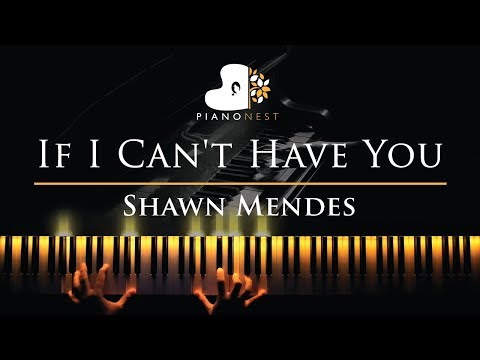 Shawn Mendes – If I Can’t Have You – Piano Karaoke / Sing Along Cover with Lyrics