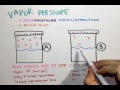 Vapor Pressure and Intermolecular Forces