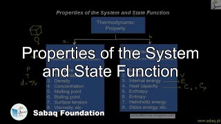 Properties of the System and State Function