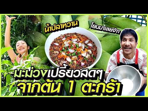 EP 195 . มะม่วงเปรี้ยว-น้ำปลาหวาน สูตรใส่ปลาร้า,ข้าวคั่ว #อาหร่อยยย #อาหารใต้สไตล์โชเล่ย์