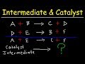 Understanding Catalysts and Intermediates in Reaction Mechanisms
