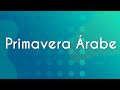 Primavera Árabe: Causas e Consequências