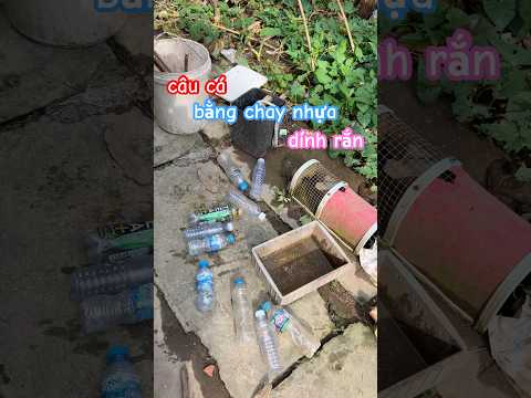 thử cắm câu từ chay nhựa và đặc bẩy cá vô tình dính rắn nước #fishing #fish #pet #animals #baopet