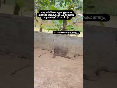ആദ്യമായി തോറ്റു 😪 കൊത്തു കിട്ടി എന്ന് തോന്നുന്നു 🥲🥲