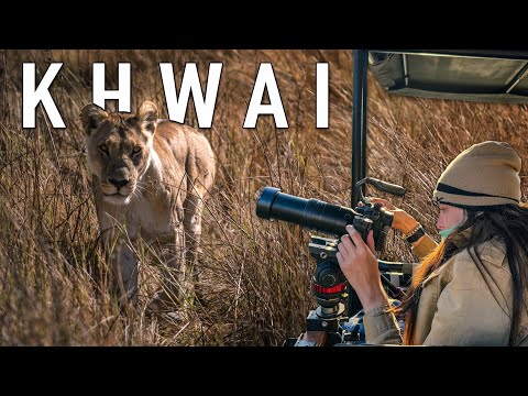 You Won't Believe What Happened on Our Botswana Safari (Khwai)