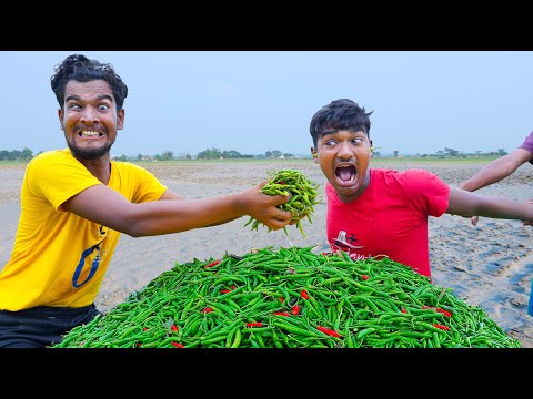 New Trending Comedy Video 2024 😂 Amazing Funny Video Episode 353 By @beenfuntv