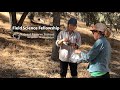 Research and Fellowship in Ecology
