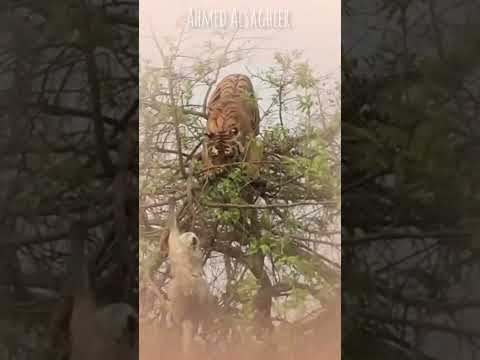 ٢ يناير، ٢٠٢٥