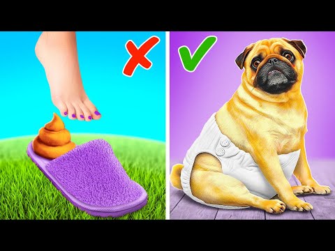 DIY Diaper For My Dog 💩 Cool Crafts and Gadgets For Pet Owners