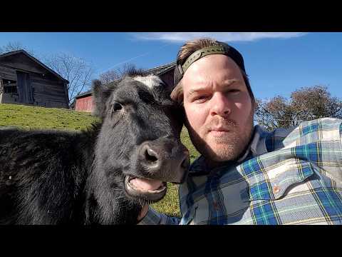 How Real Men Treat Their Animals