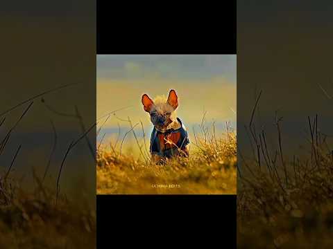 DOG POOL 4K STATUS | BYE BYE BYE | UCHIHA EDITS #avengers #marvel #trending #shorts #viral #4k #yt