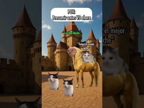 Presumir antes VS ahora 🐱 #gatitoslindos #storytime