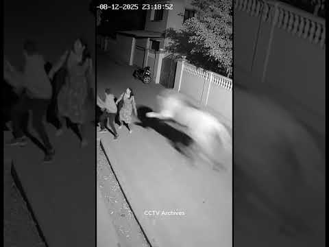 shocking viral cctv footage of couple attacked by animal