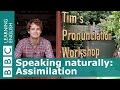 Understanding Pronunciation and Assimilation