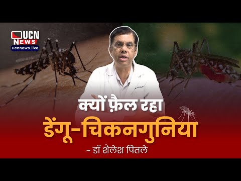 Nagpur में तेजी में बढ़ रहें डेंगू-चिकनगुनिया के मामले, क्या है डॉक्टरों की सलाह