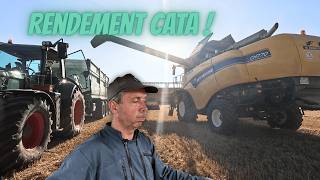 Premier rendement en blé 🌾