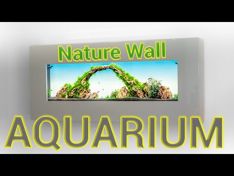 Nature Wall Aquarium - Minimal Aquarium Design - Smart Control
