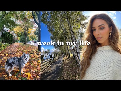 a week in my life