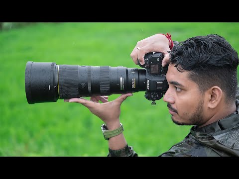 Nikon Z 8 and new NIKKOR Z 600mm f/6.3 VR S wildlife/bird photography and videography. Nikon Camera.