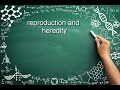 Mendelian Genetics and DNA Structure