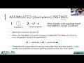 Understanding Assimilated Prefixes