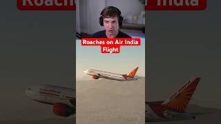Roaches on Air India Flight