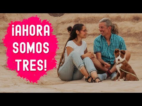 ¡¡Nuevo compañero de viaje!! | Vivir en autocaravana con un perro