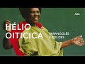 Parangolés: Arte e Política