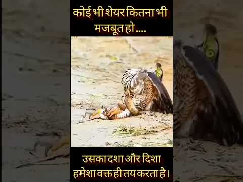 मजबूती नही, ट्रेडिंग वक्त के अनुसार करना चाहिए।