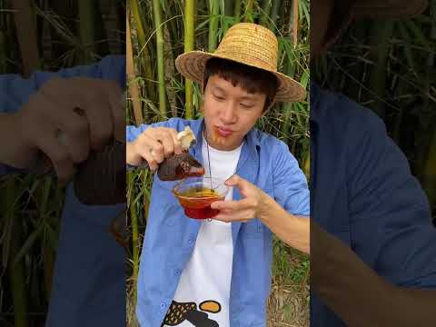 What is this shell called?|Chinese Mountain Forest Life and Food #Moo TikTok#FYP