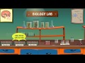 Enzyme Activity and Starch Testing