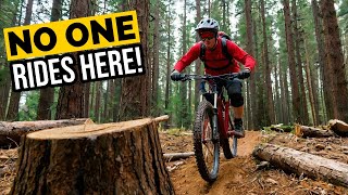 Hopton Woods: MTB Heaven or Total Punishment?"