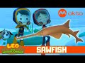 Junior Rangers and the Sawfish Rescue