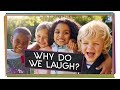 Understanding Laughter