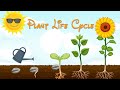 Plant Lifecycle and Growth Concepts