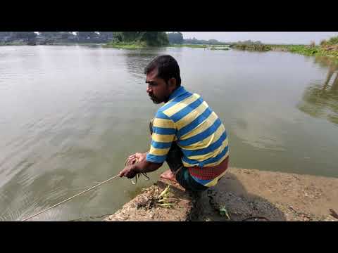 Watch the amazing fishing in river