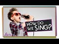 Understanding Sound and Singing