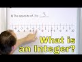 Understanding Integers and Their Opposites