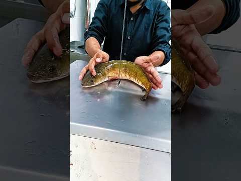 Giant River big live shoal fish fast cutting skills show up video #shortvideo#shorts #fishshortsfeed