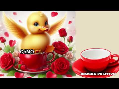 ☕🌹Primer Saludito de BUENOS DÍAS NO IGNORES ESTE Mensaje de BUENOS DÍAS