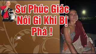 Sư Phúc Giác Nói Gì Khi Bị P.h.á