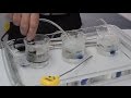 Dissolved Oxygen and Aquatic Life