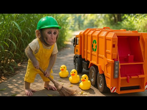 Bayi Monkey BoBo driving TRUCK TRASH and cook take care of holding Ducklings | Animals Smart HT