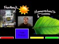 Biology Concepts and Processes